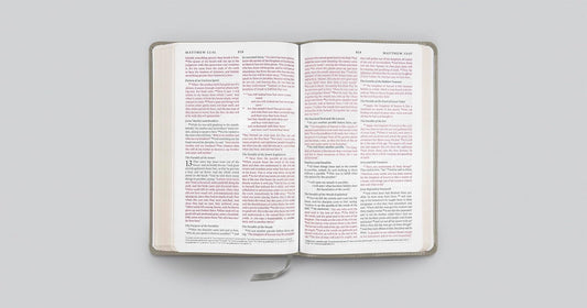 ESV Thinline Bible, Red Letter (TruTone, Stone, Branch Design)