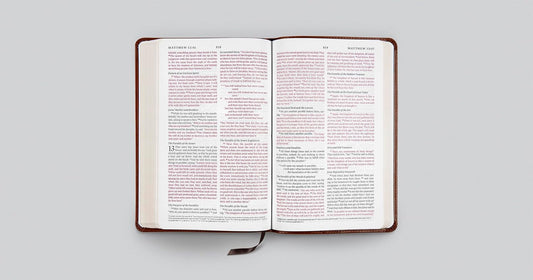 ESV Thinline Bible, Red Letter (TruTone, Mahogany, Border Design)