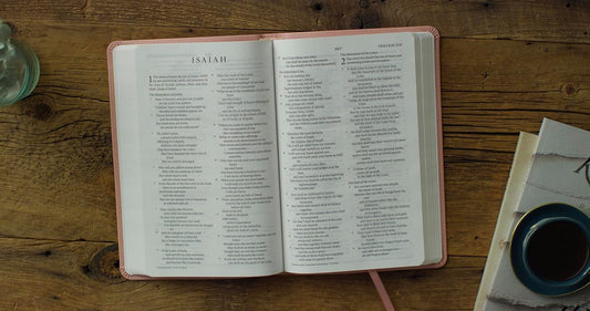 ESV Thinline Bible, Red Letter (TruTone, Pink, Emblem Design)